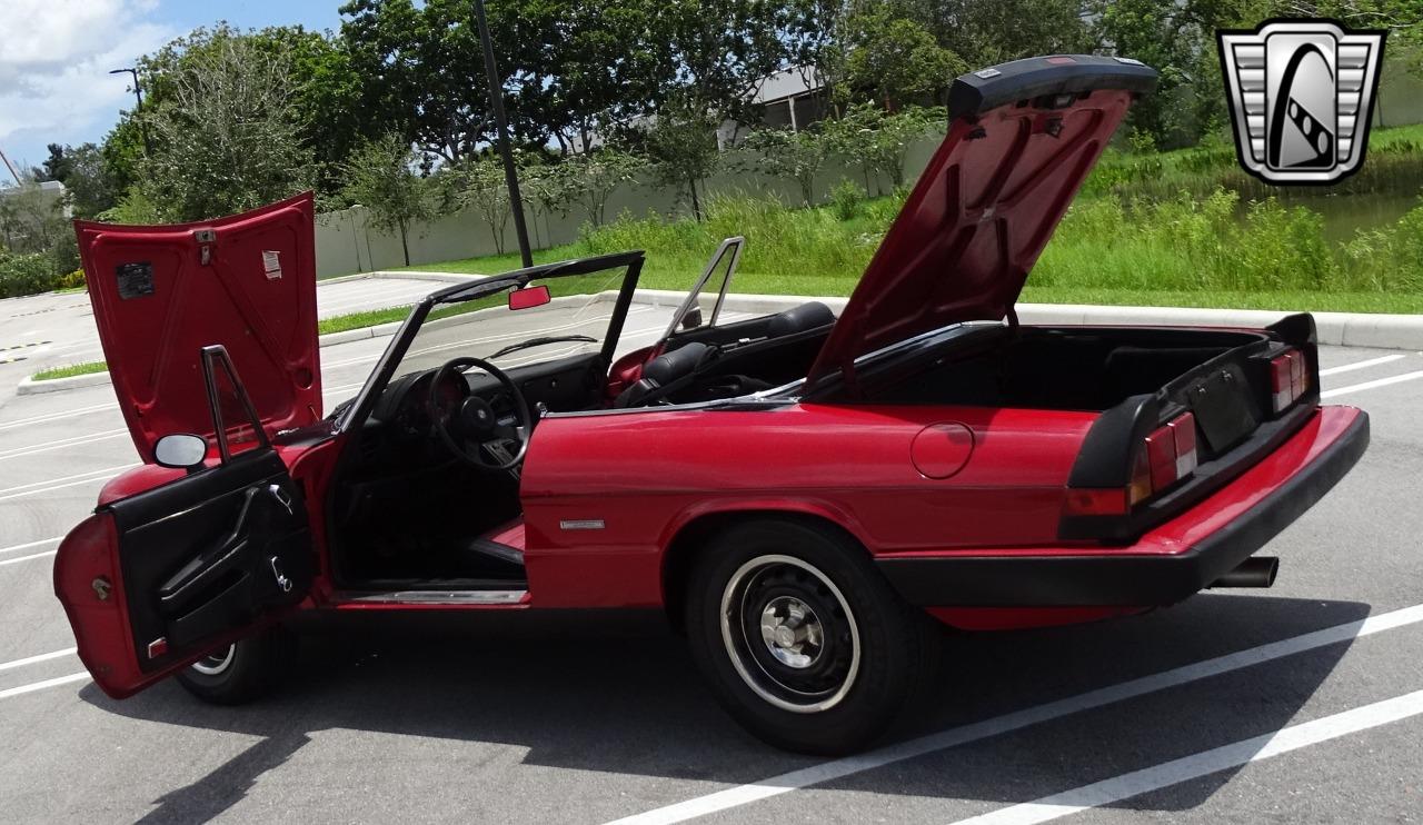 1986 Alfa Romeo Spider