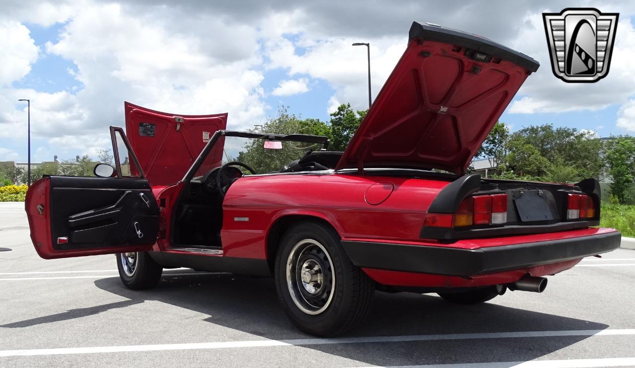 1986 Alfa Romeo Spider