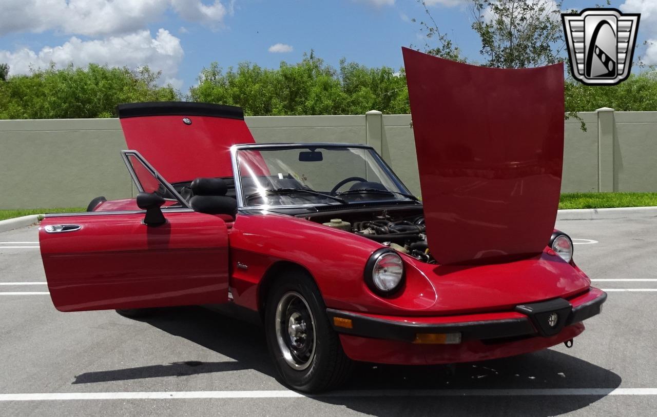 1986 Alfa Romeo Spider