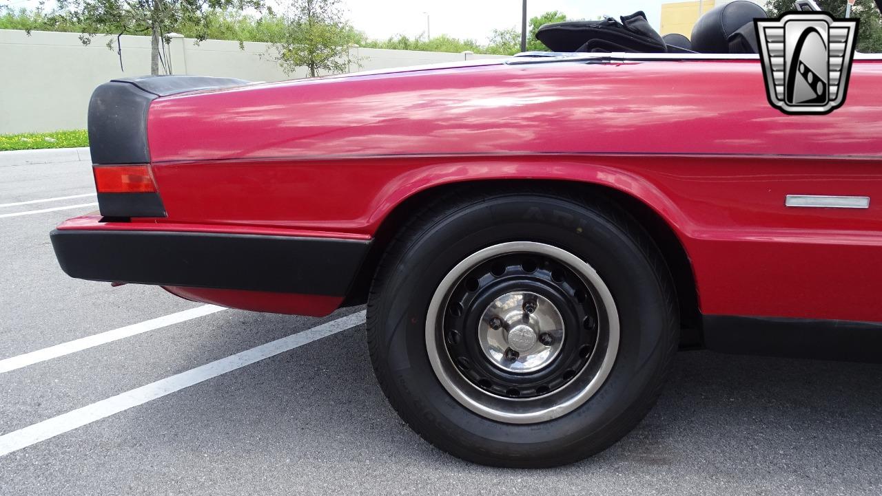 1986 Alfa Romeo Spider