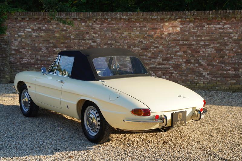 1967 Alfa Romeo Spider Duetto 1600