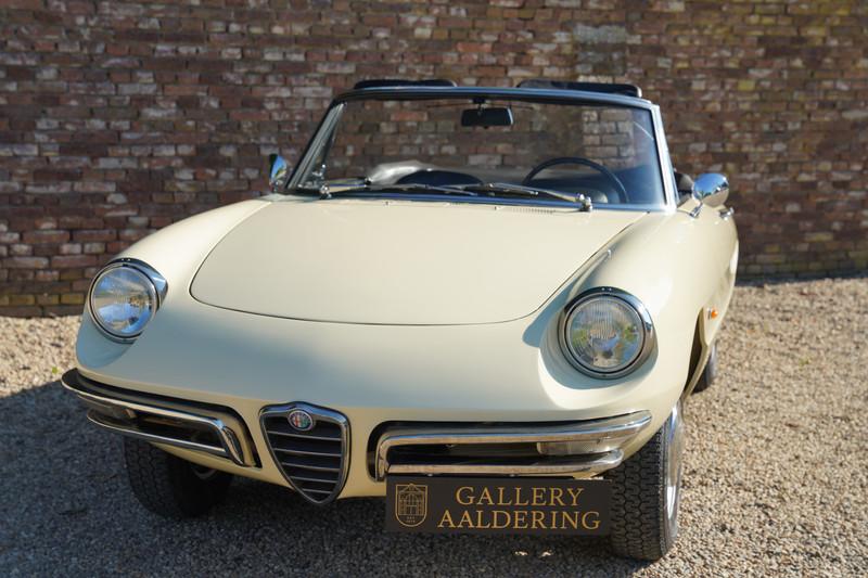 1967 Alfa Romeo Spider Duetto 1600