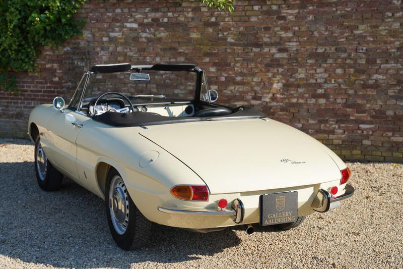 1967 Alfa Romeo Spider Duetto 1600