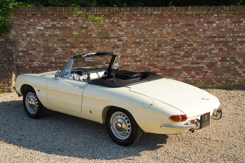 1967 Alfa Romeo Spider Duetto 1600