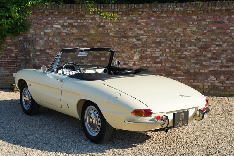 1967 Alfa Romeo Spider Duetto 1600