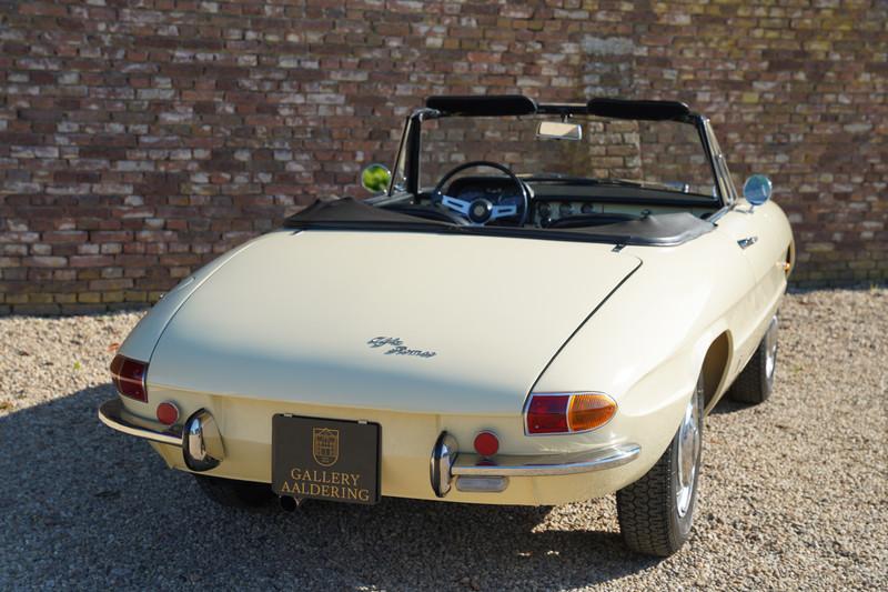 1967 Alfa Romeo Spider Duetto 1600