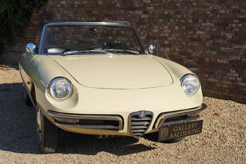 1967 Alfa Romeo Spider Duetto 1600