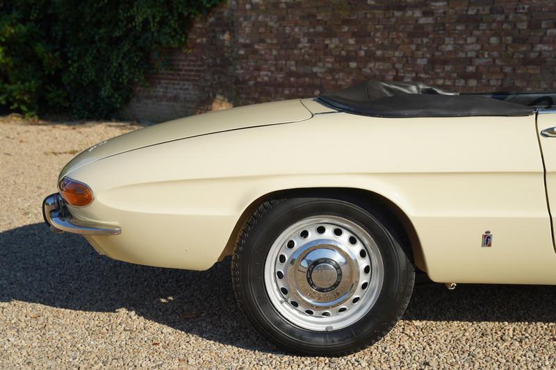 1967 Alfa Romeo Spider Duetto 1600