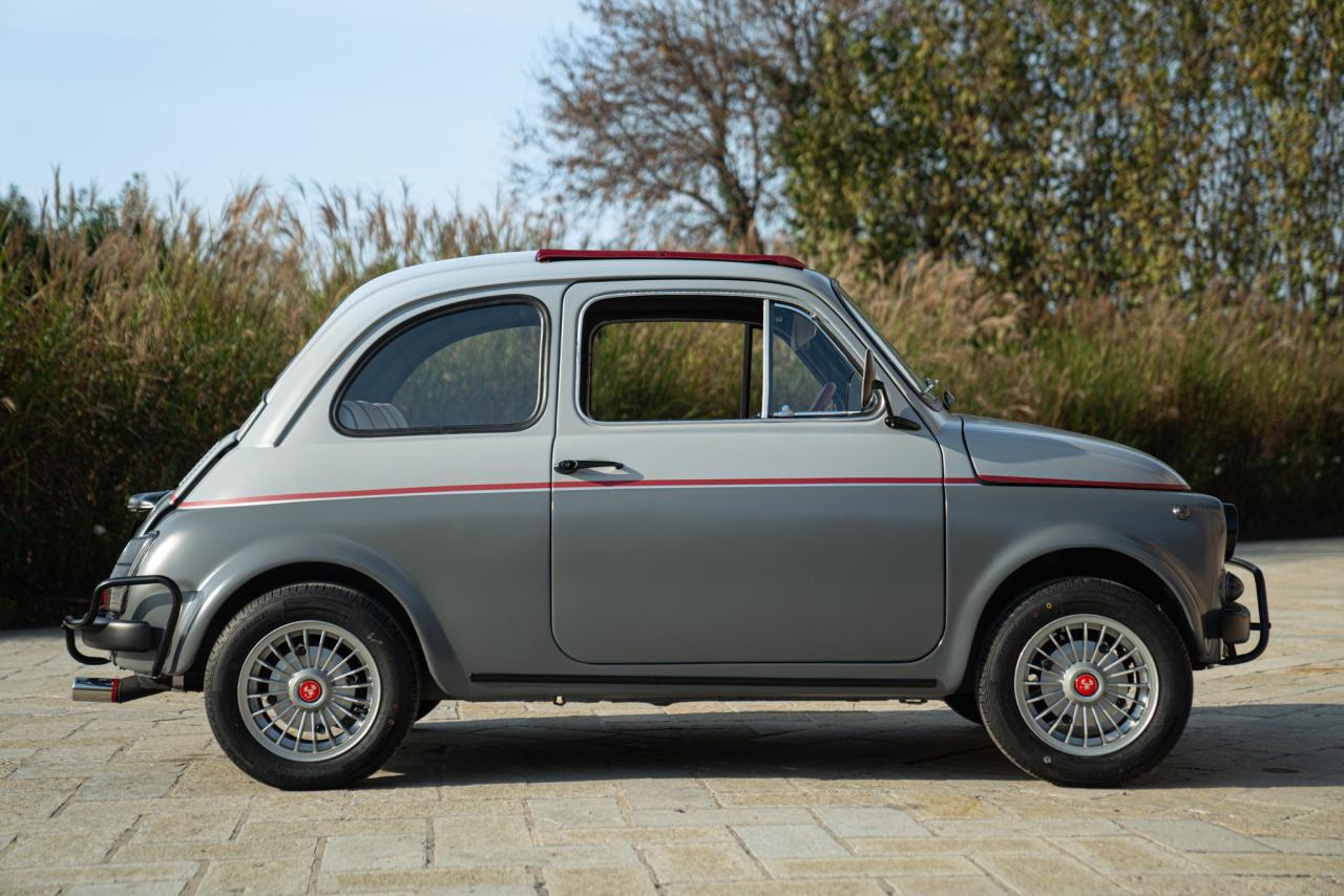 1971 Fiat 500 Freestyle