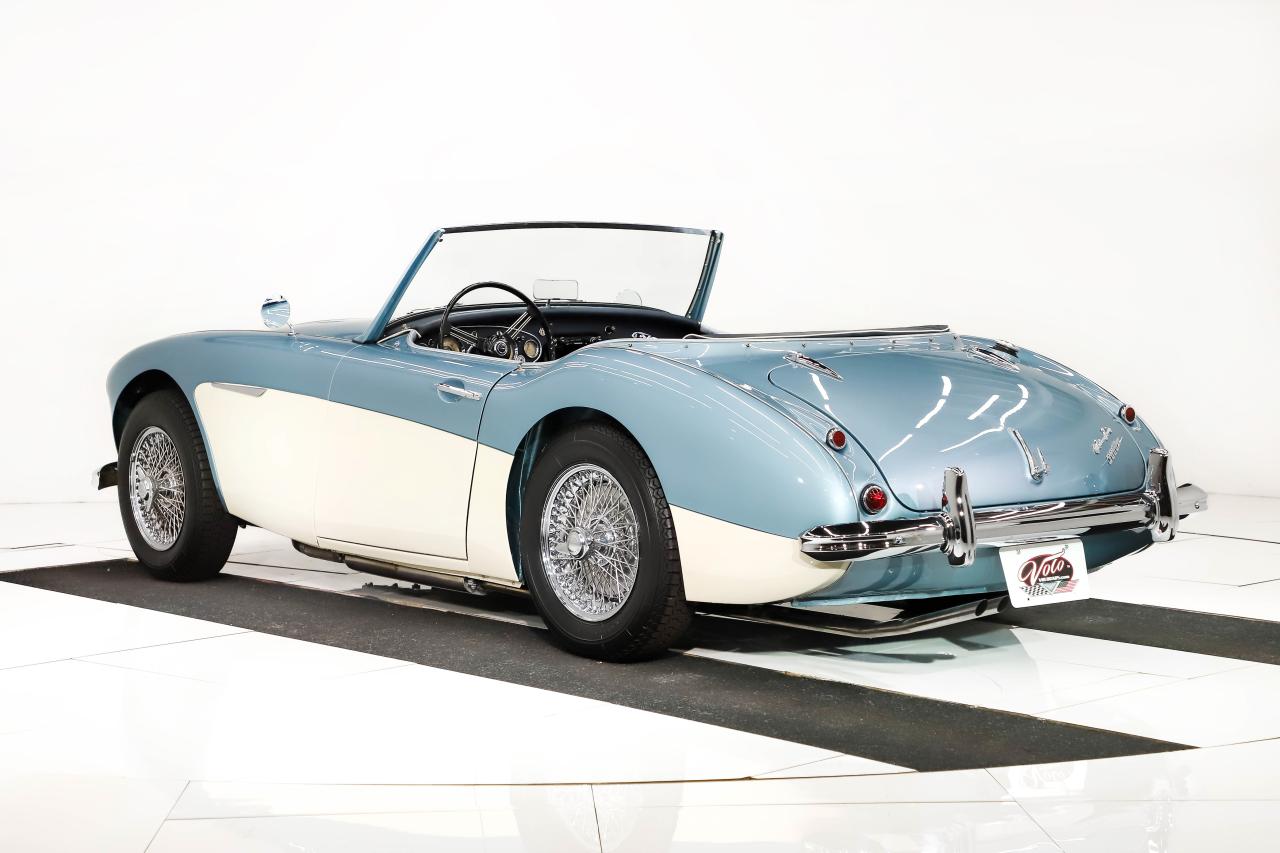 1959 Austin - Healey 3000