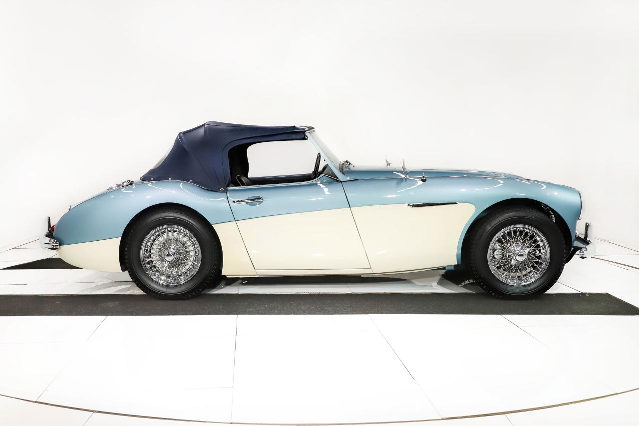 1959 Austin - Healey 3000