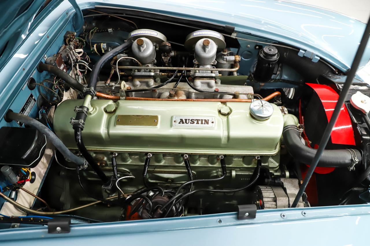 1959 Austin - Healey 3000