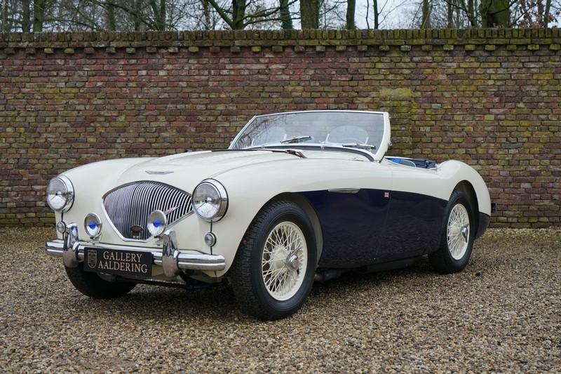 1955 Austin - Healey 100/4 BN1