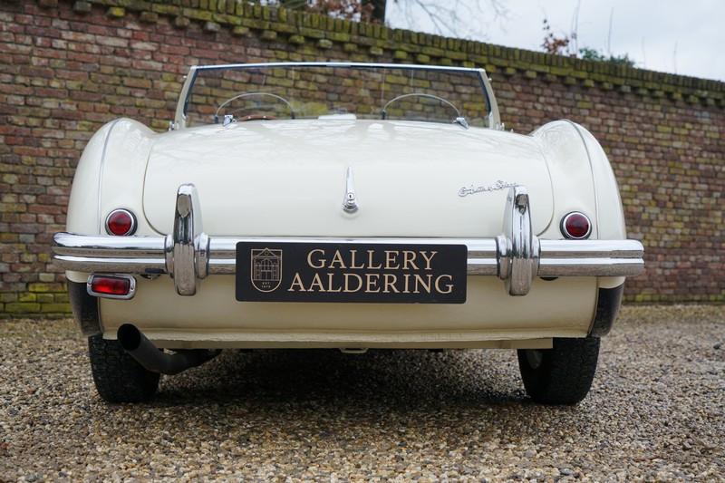 1955 Austin - Healey 100/4 BN1