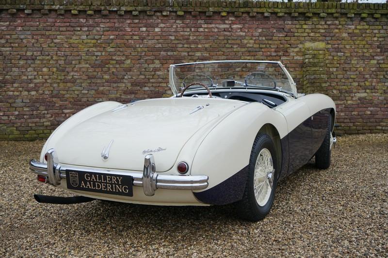 1955 Austin - Healey 100/4 BN1