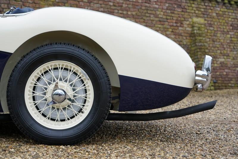 1955 Austin - Healey 100/4 BN1