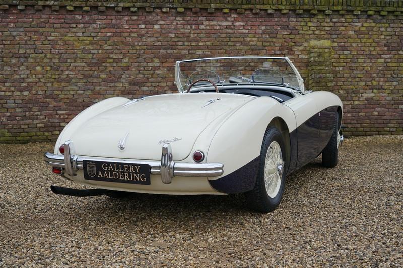 1955 Austin - Healey 100/4 BN1