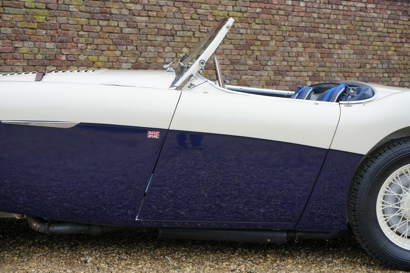 1955 Austin - Healey 100/4 BN1