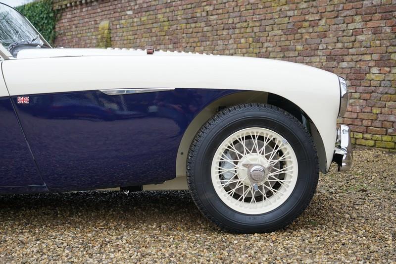 1955 Austin - Healey 100/4 BN1