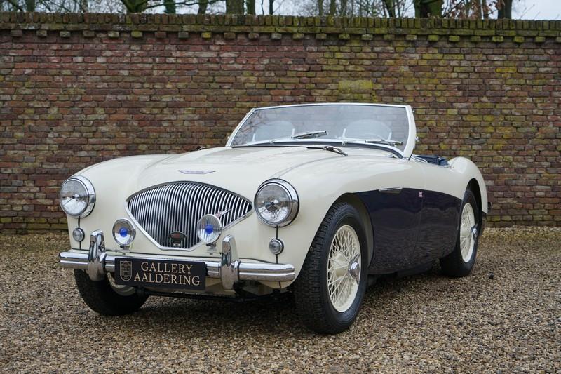 1955 Austin - Healey 100/4 BN1