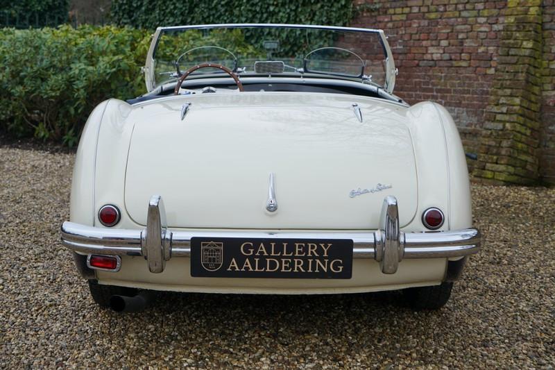 1955 Austin - Healey 100/4 BN1