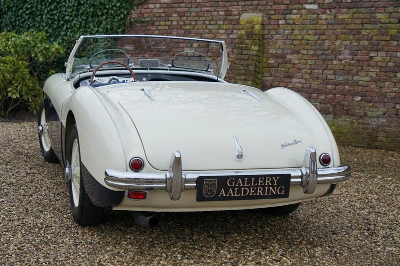 1955 Austin - Healey 100/4 BN1