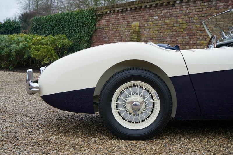 1955 Austin - Healey 100/4 BN1