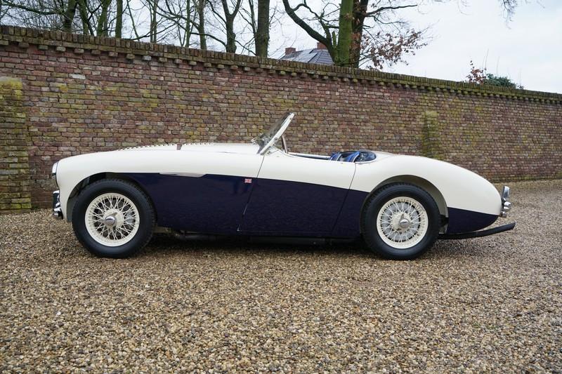 1955 Austin - Healey 100/4 BN1