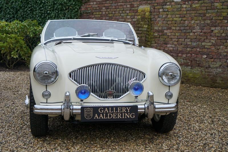 1955 Austin - Healey 100/4 BN1