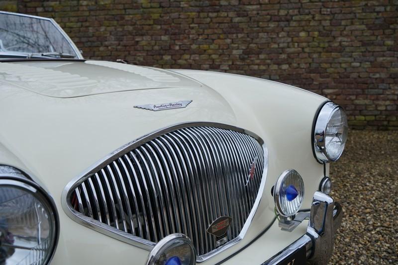 1955 Austin - Healey 100/4 BN1