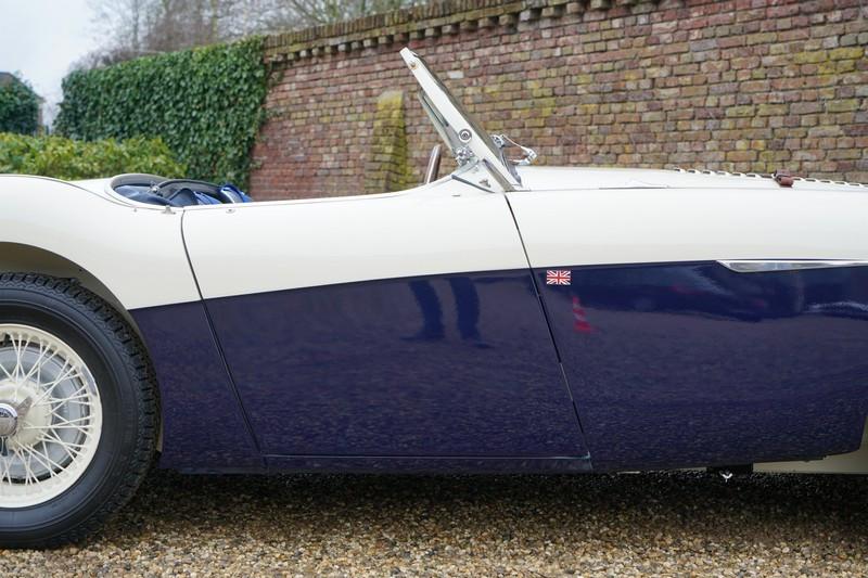 1955 Austin - Healey 100/4 BN1