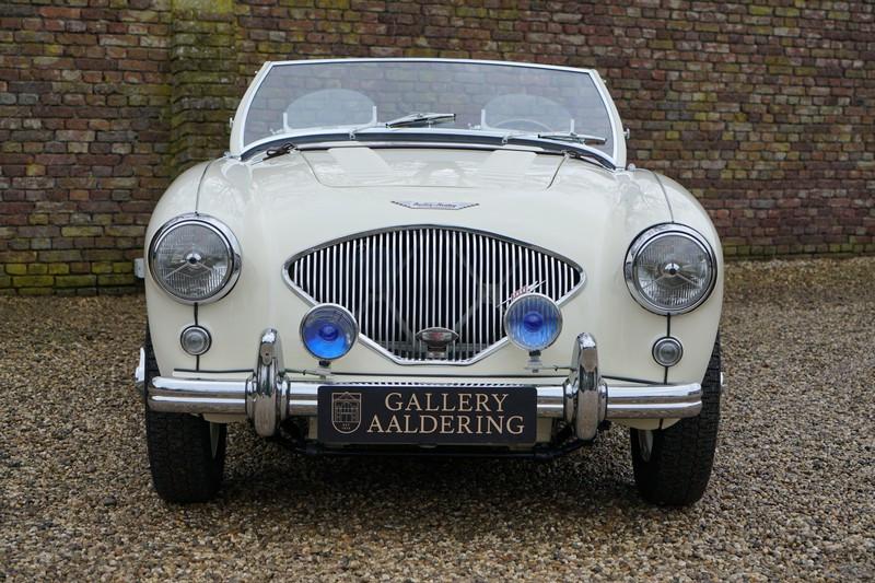 1955 Austin - Healey 100/4 BN1