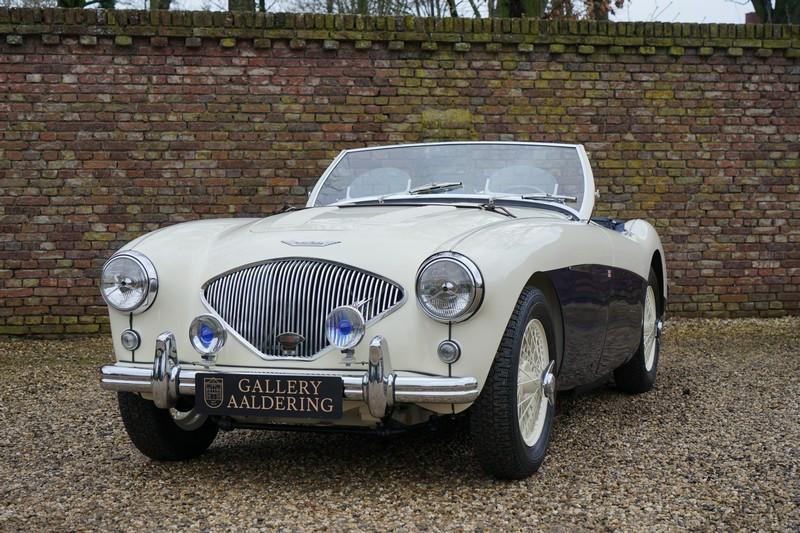 1955 Austin - Healey 100/4 BN1