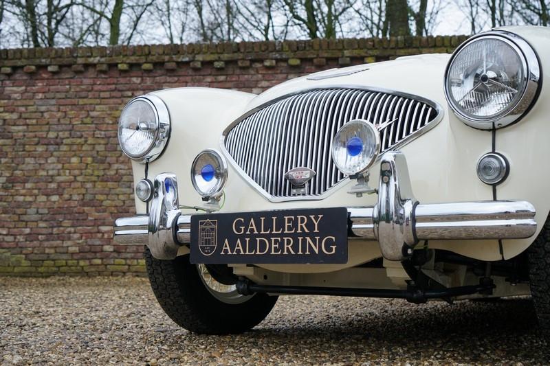 1955 Austin - Healey 100/4 BN1