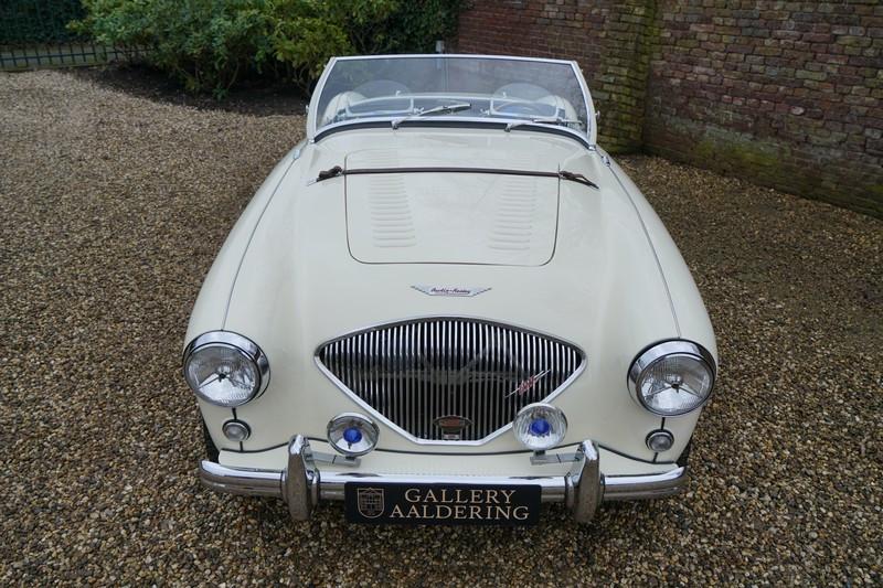 1955 Austin - Healey 100/4 BN1