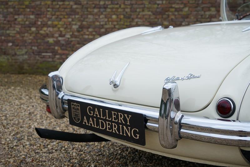 1955 Austin - Healey 100/4 BN1