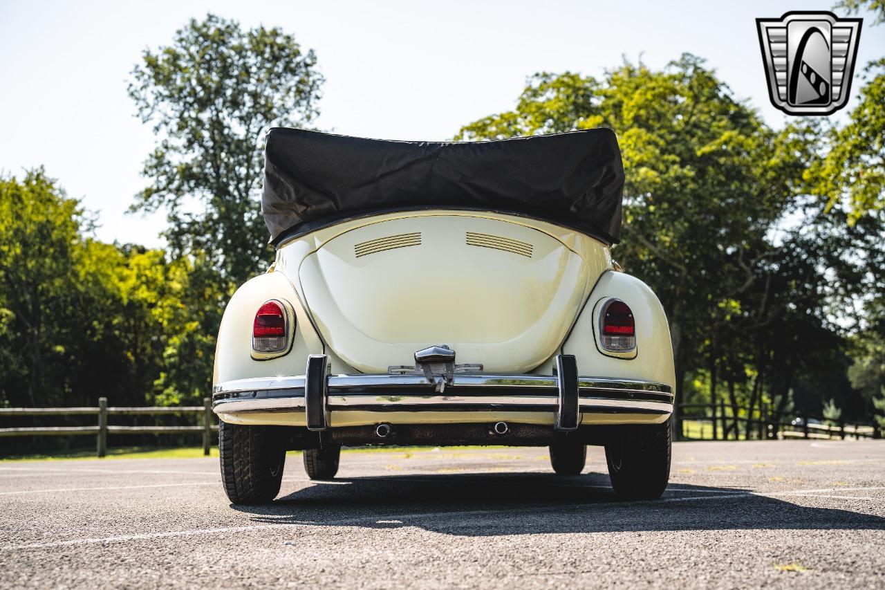 1969 Volkswagen Beetle