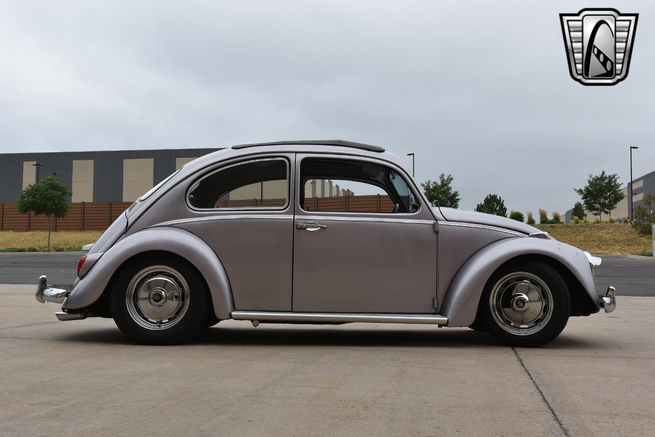 1967 Volkswagen Beetle