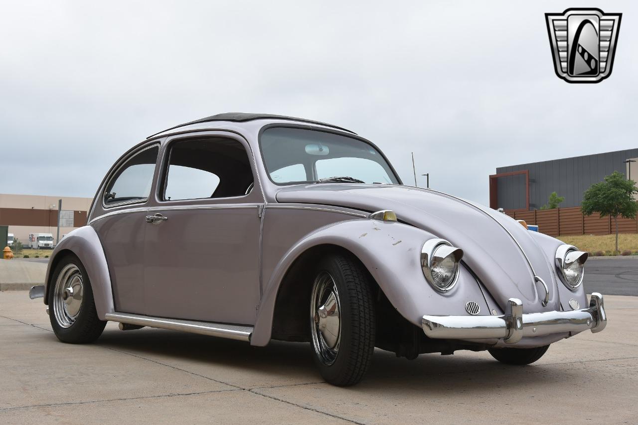 1967 Volkswagen Beetle