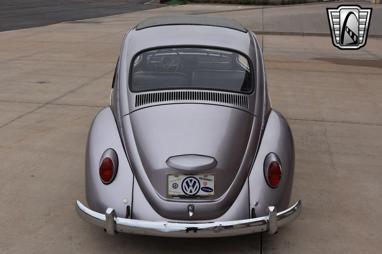 1967 Volkswagen Beetle