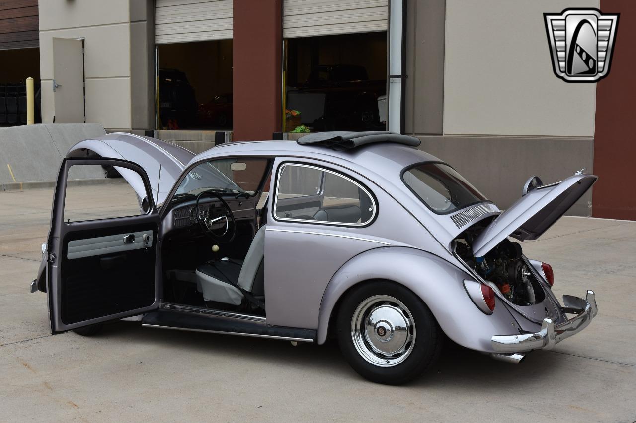 1967 Volkswagen Beetle