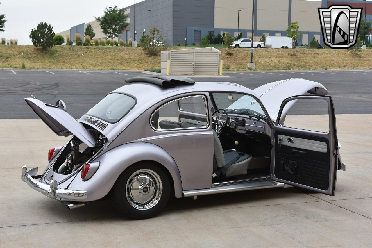 1967 Volkswagen Beetle