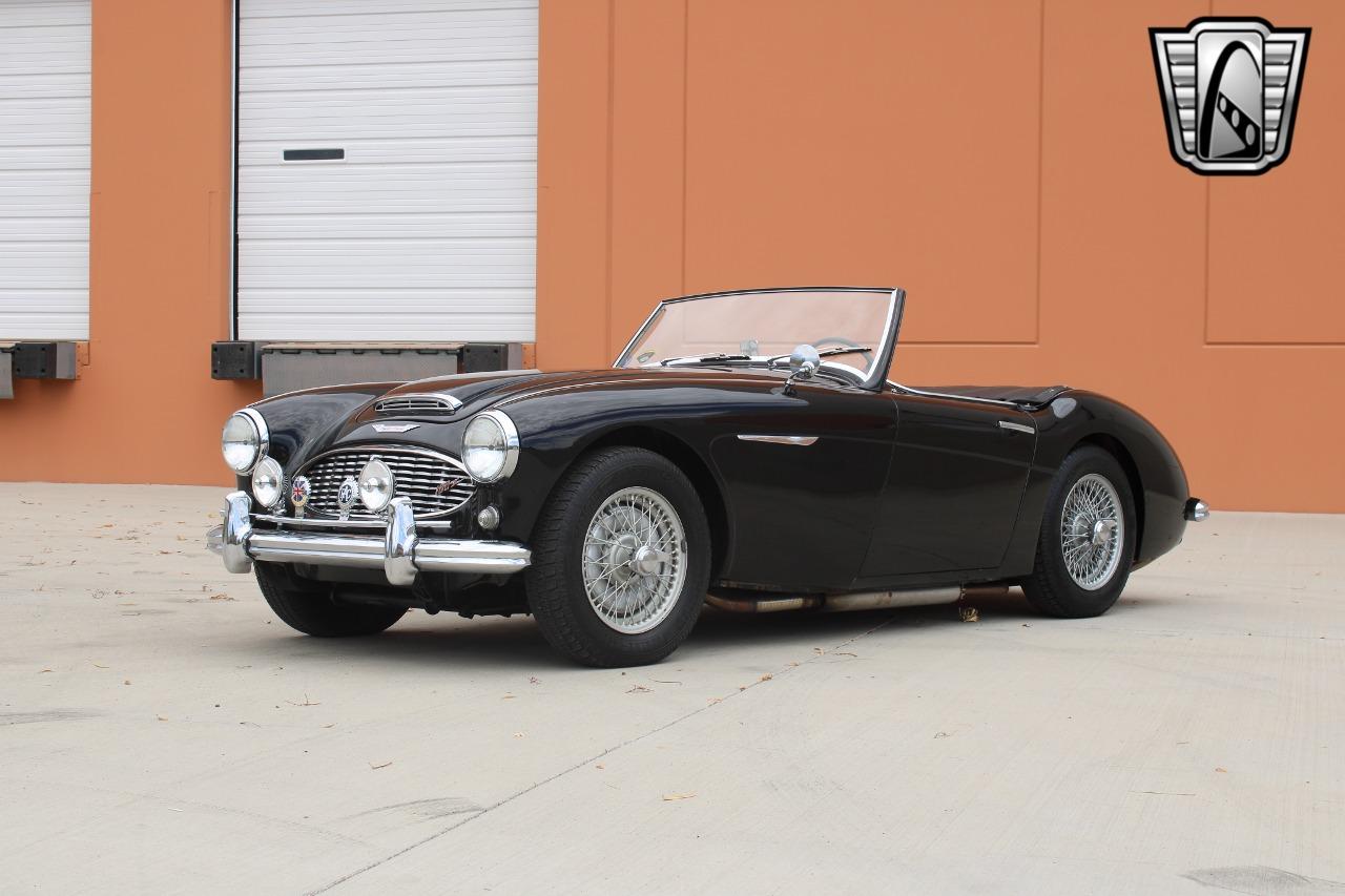 1959 Austin - Healey 100