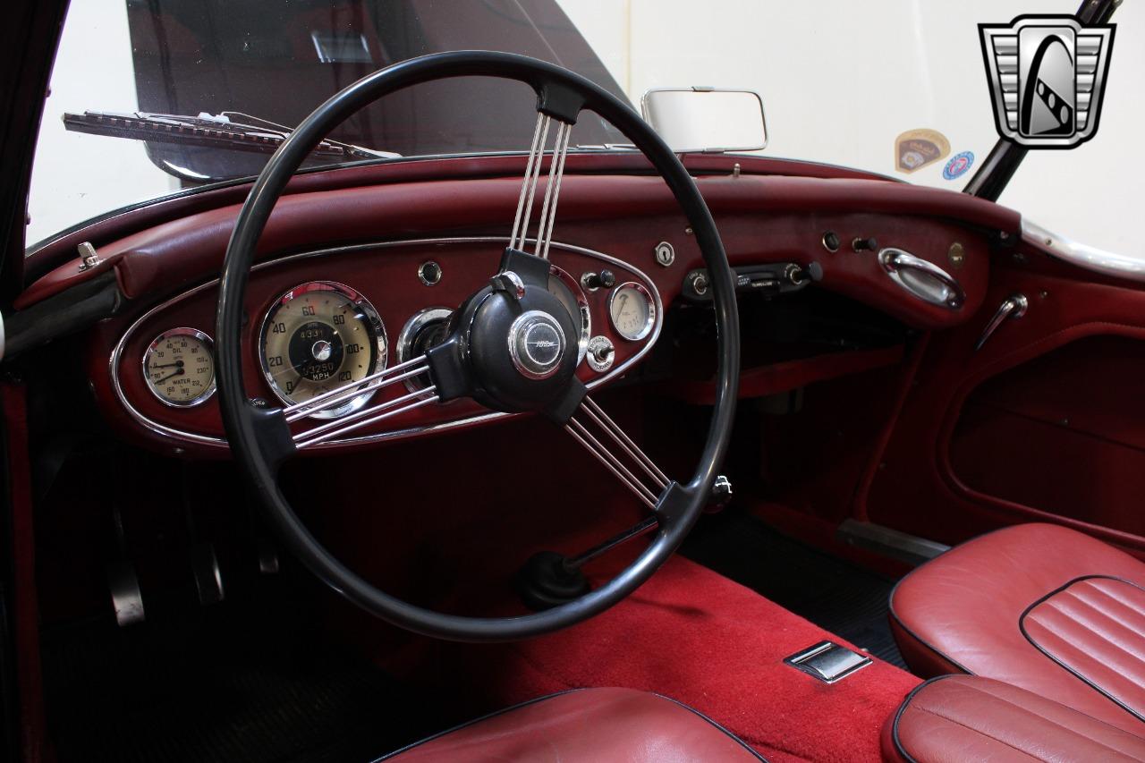 1959 Austin - Healey 100