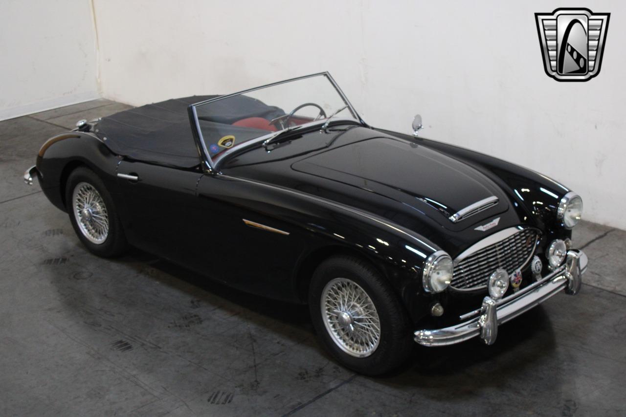 1959 Austin - Healey 100