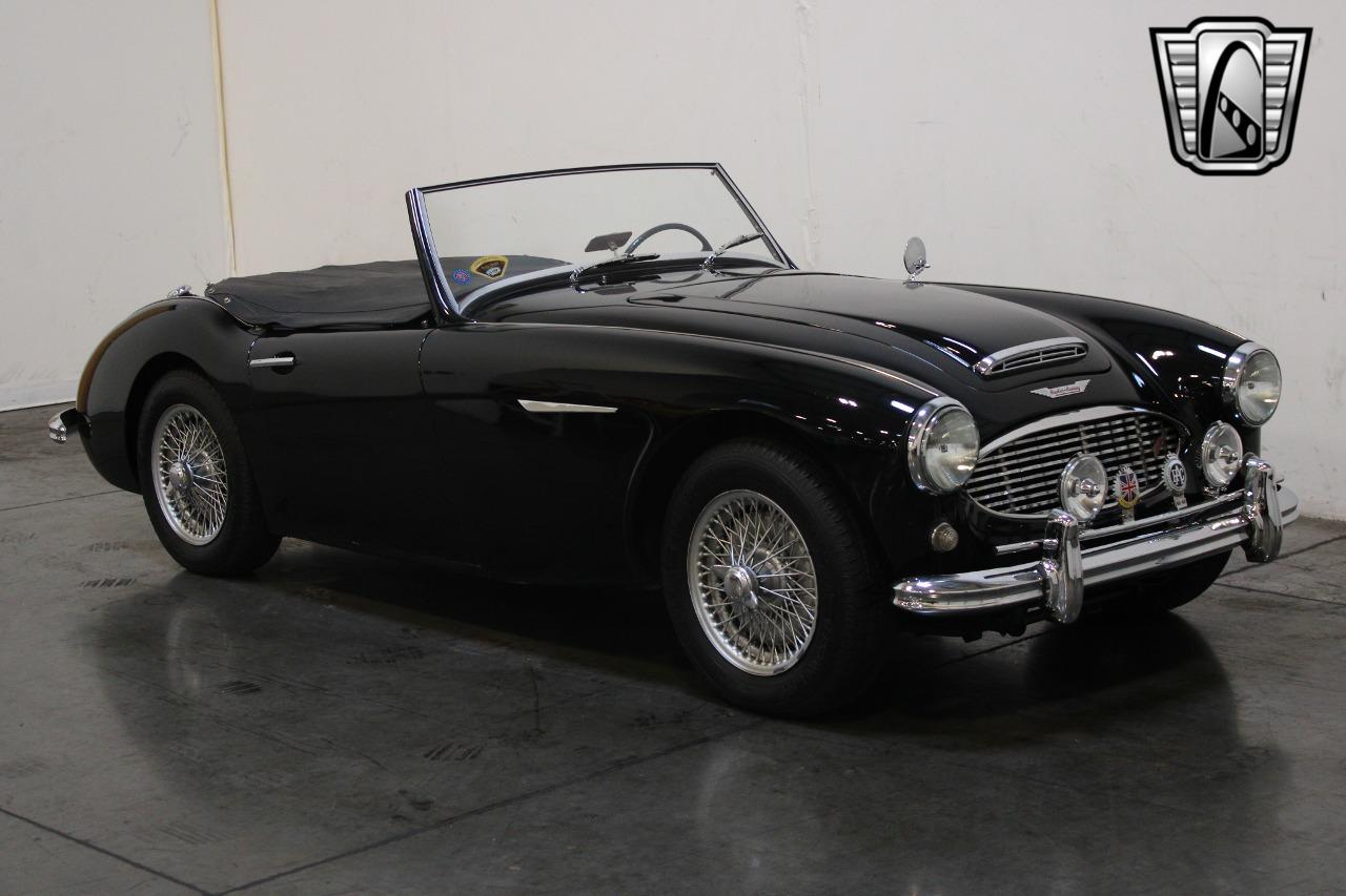 1959 Austin - Healey 100