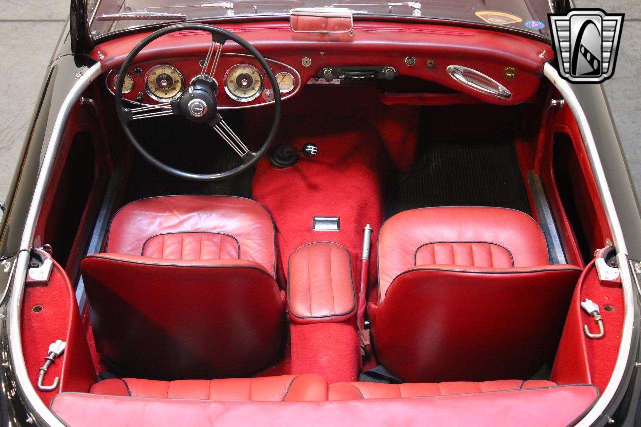 1959 Austin - Healey 100