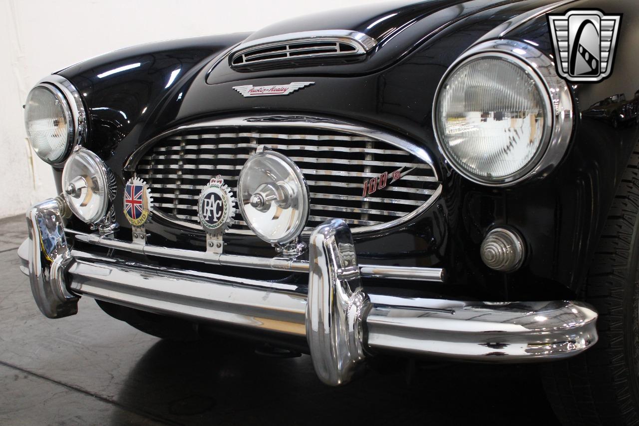 1959 Austin - Healey 100