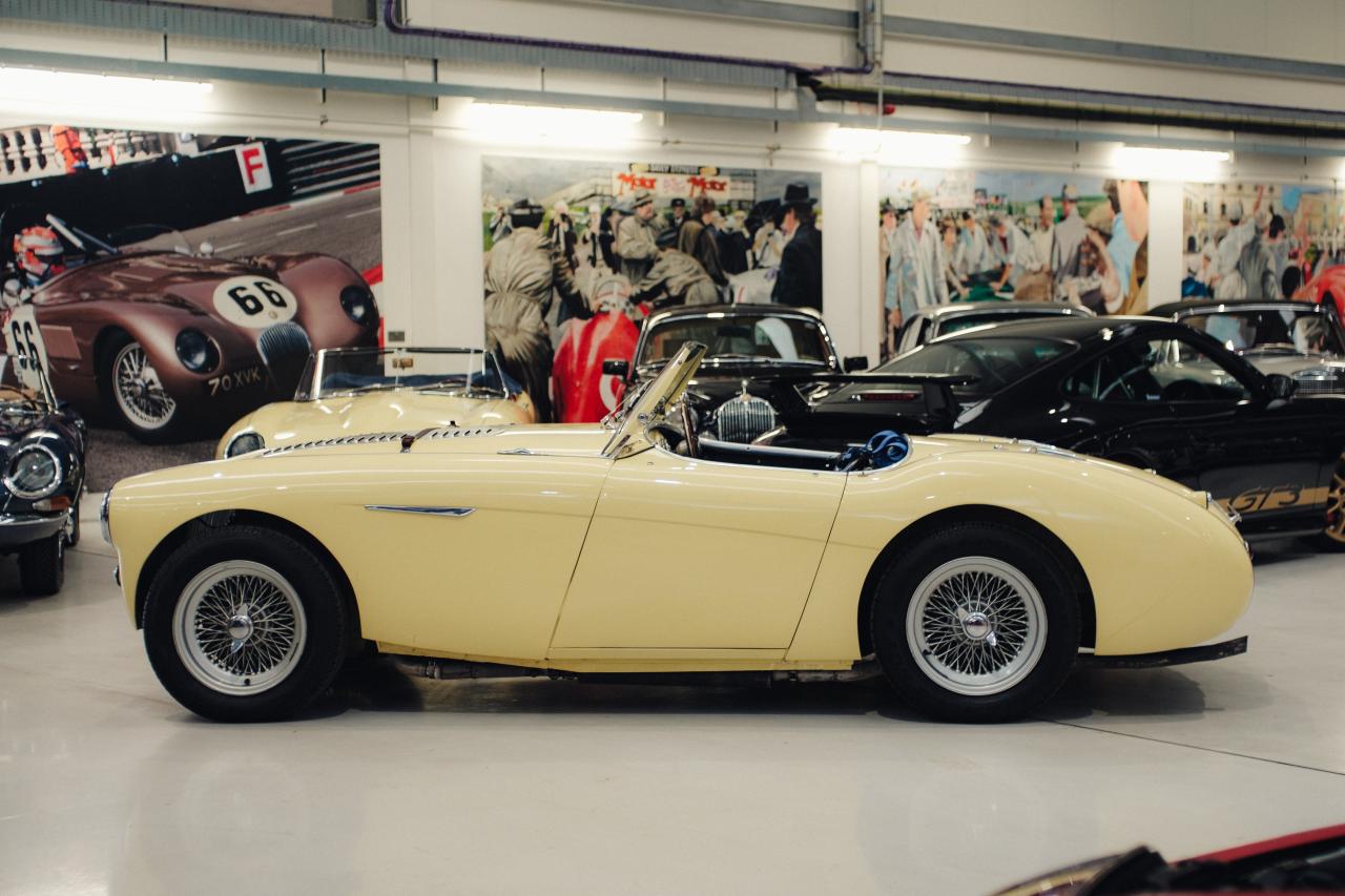 1956 Austin - Healey 100/4 BN2  M-Specification