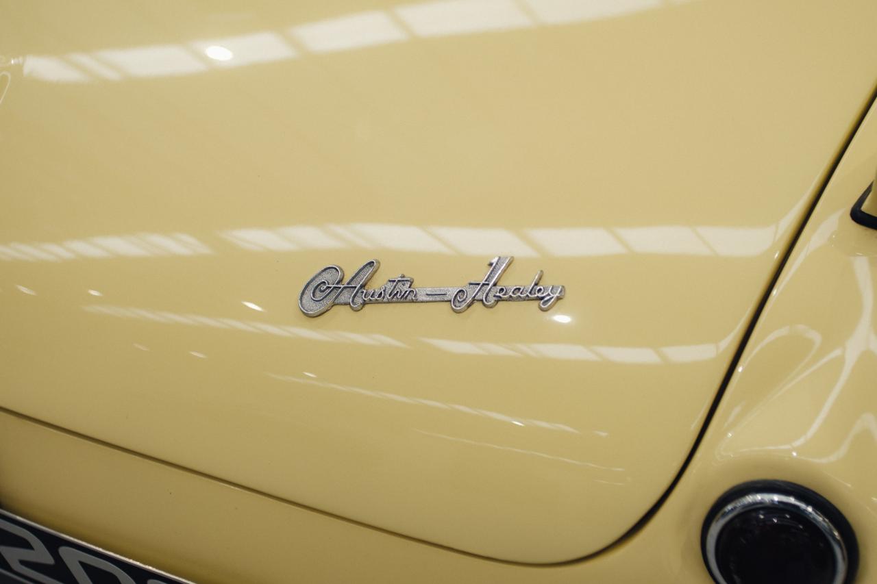 1956 Austin - Healey 100/4 BN2  M-Specification